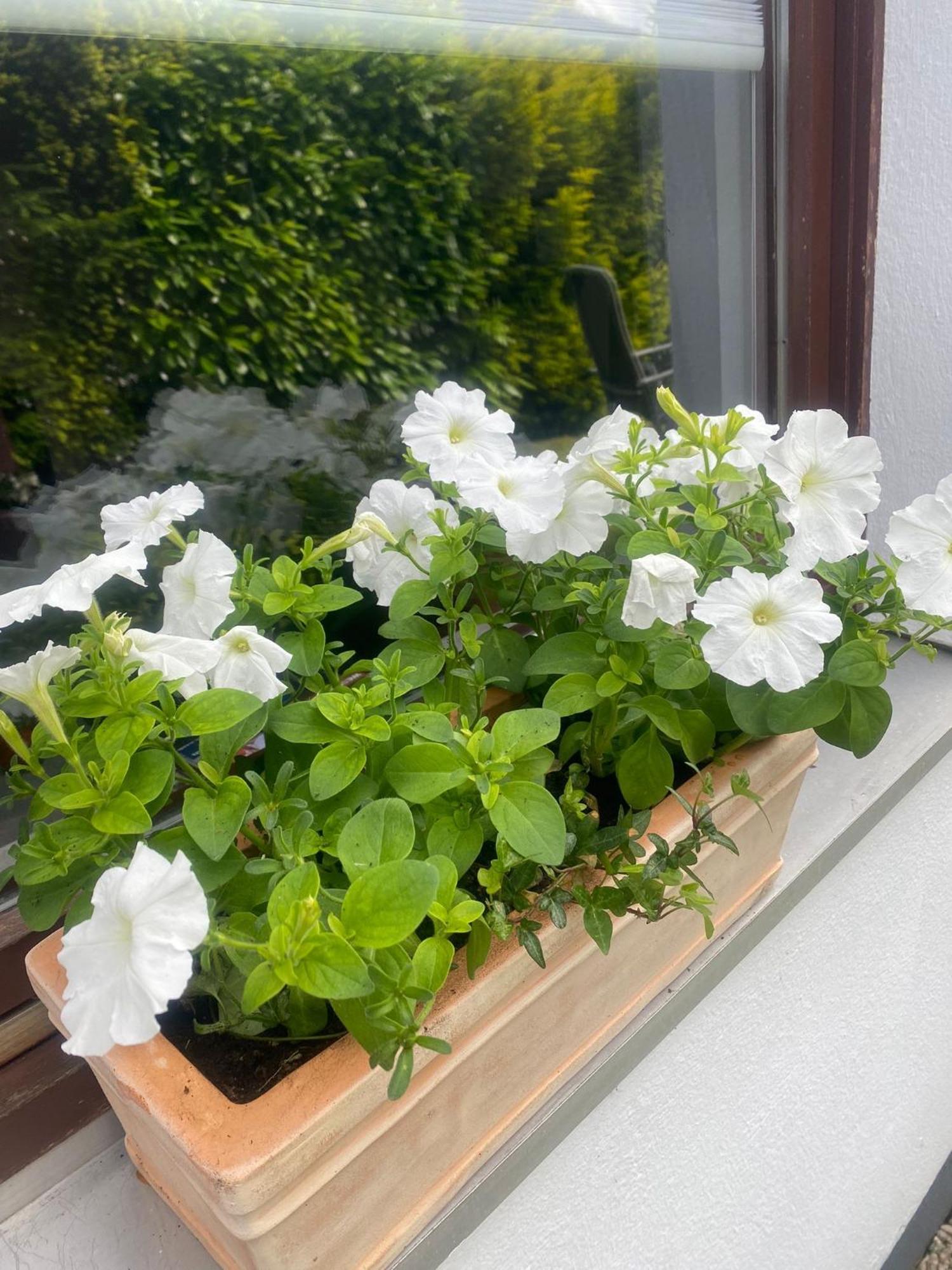Ferienwohnung Biel 보덴웨르데르 외부 사진